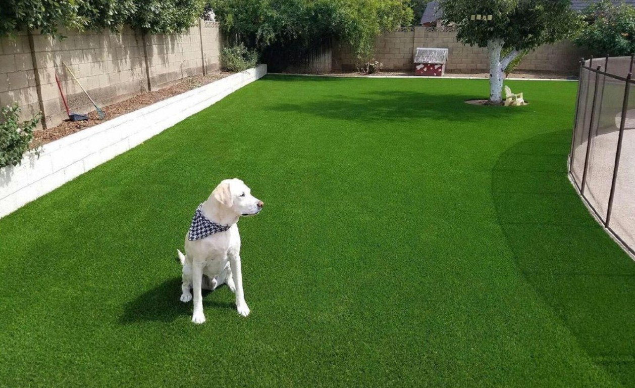 Pet-safe artificial grass with dog in Weston, FL backyard